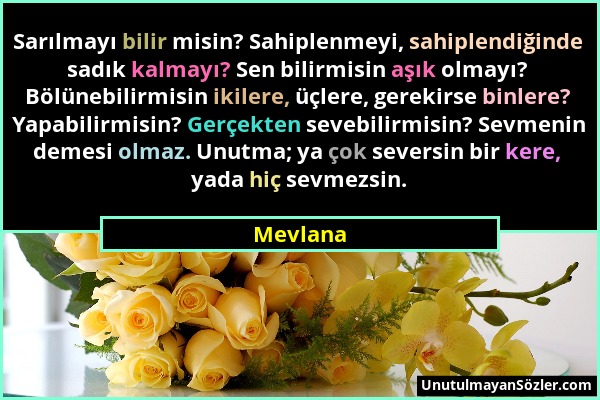 Mevlana - Sarılmayı bilir misin? Sahiplenmeyi, sahiplendiğinde sadık kalmayı? Sen bilirmisin aşık olmayı? Bölünebilirmisin ikilere, üçlere, gerekirse...