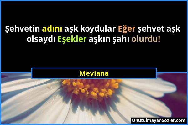 Mevlana - Şehvetin adını aşk koydular Eğer şehvet aşk olsaydı Eşekler aşkın şahı olurdu!...