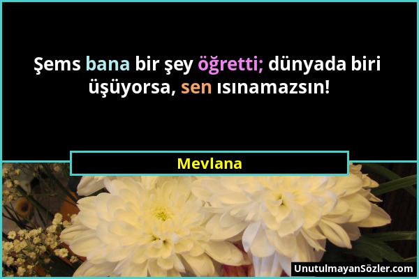 Mevlana - Şems bana bir şey öğretti; dünyada biri üşüyorsa, sen ısınamazsın!...