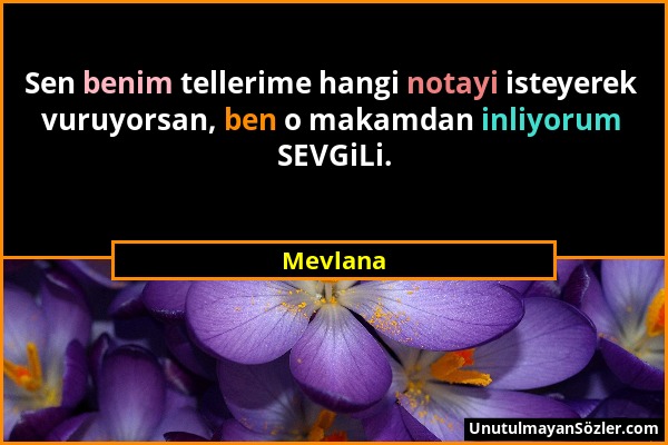 Mevlana - Sen benim tellerime hangi notayi isteyerek vuruyorsan, ben o makamdan inliyorum SEVGiLi....