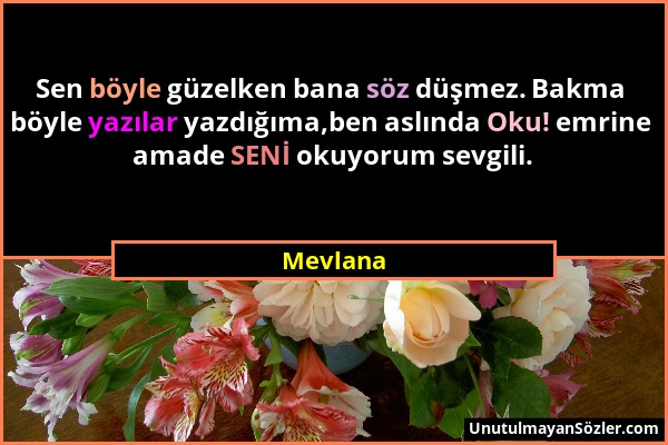 Mevlana - Sen böyle güzelken bana söz düşmez. Bakma böyle yazılar yazdığıma,ben aslında Oku! emrine amade SENİ okuyorum sevgili....