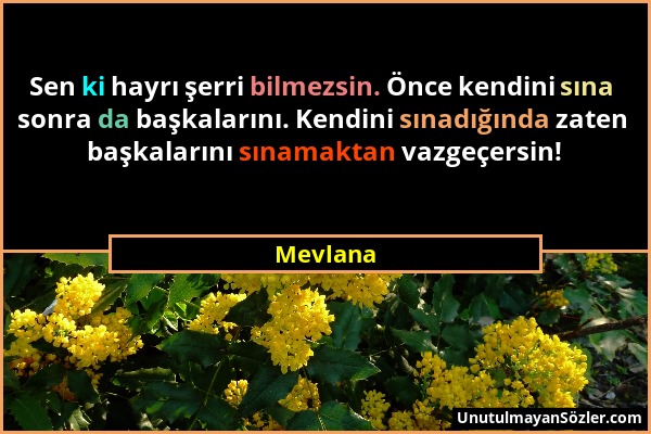 Mevlana - Sen ki hayrı şerri bilmezsin. Önce kendini sına sonra da başkalarını. Kendini sınadığında zaten başkalarını sınamaktan vazgeçersin!...