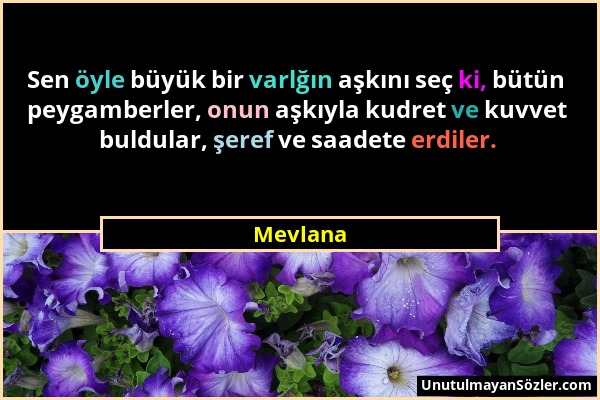 Mevlana - Sen öyle büyük bir varlğın aşkını seç ki, bütün peygamberler, onun aşkıyla kudret ve kuvvet buldular, şeref ve saadete erdiler....
