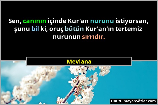 Mevlana - Sen, canının içinde Kur'an nurunu istiyorsan, şunu bil ki, oruç bütün Kur'an'ın tertemiz nurunun sırrıdır....