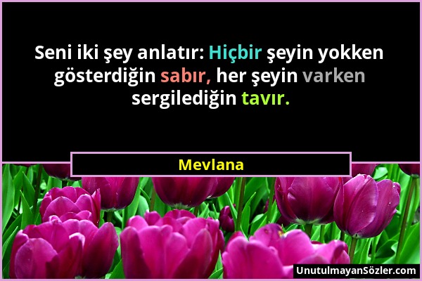 Mevlana - Seni iki şey anlatır: Hiçbir şeyin yokken gösterdiğin sabır, her şeyin varken sergilediğin tavır....