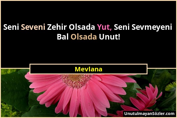 Mevlana - Seni Seveni Zehir Olsada Yut, Seni Sevmeyeni Bal Olsada Unut!...