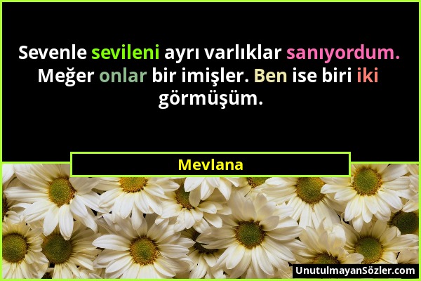 Mevlana - Sevenle sevileni ayrı varlıklar sanıyordum. Meğer onlar bir imişler. Ben ise biri iki görmüşüm....