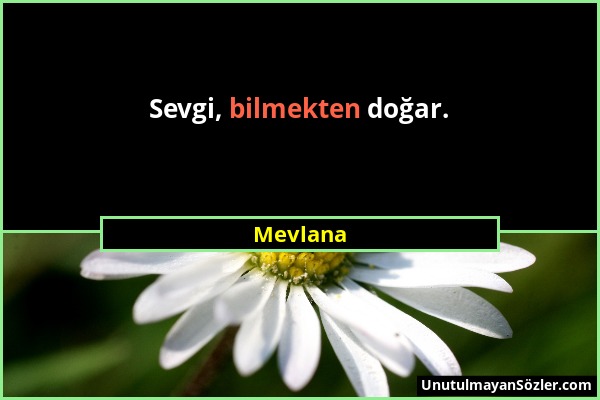 Mevlana - Sevgi, bilmekten doğar....