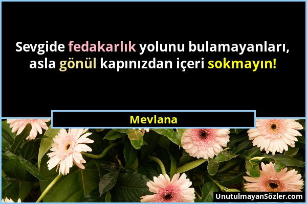 Mevlana - Sevgide fedakarlık yolunu bulamayanları, asla gönül kapınızdan içeri sokmayın!...