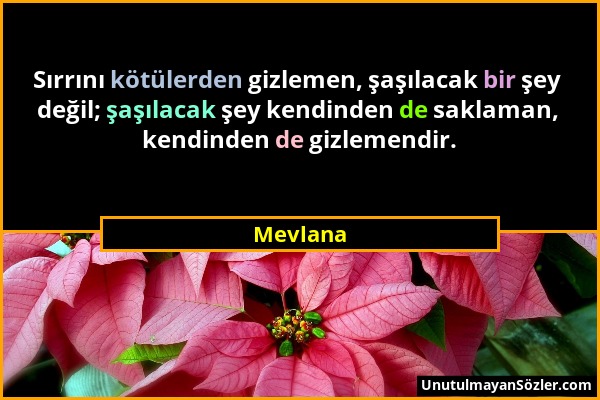 Mevlana - Sırrını kötülerden gizlemen, şaşılacak bir şey değil; şaşılacak şey kendinden de saklaman, kendinden de gizlemendir....