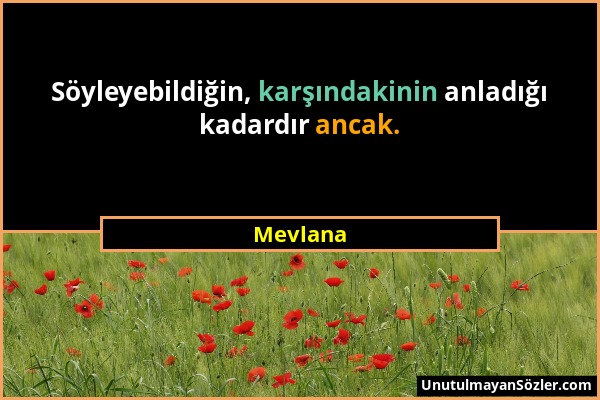 Mevlana - Söyleyebildiğin, karşındakinin anladığı kadardır ancak....
