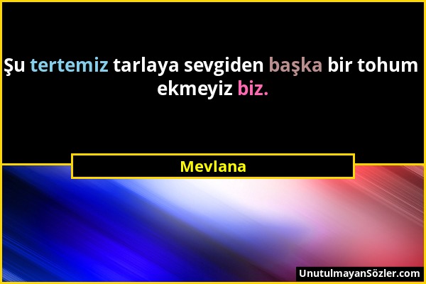 Mevlana - Şu tertemiz tarlaya sevgiden başka bir tohum ekmeyiz biz....