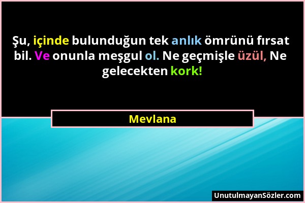 Mevlana - Şu, içinde bulunduğun tek anlık ömrünü fırsat bil. Ve onunla meşgul ol. Ne geçmişle üzül, Ne gelecekten kork!...