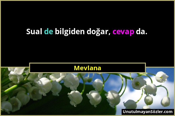 Mevlana - Sual de bilgiden doğar, cevap da....