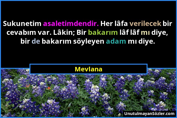 Mevlana - Sukunetim asaletimdendir. Her lâfa verilecek bir cevabım var. Lâkin; Bir bakarım lâf lâf mı diye, bir de bakarım söyleyen adam mı diye....