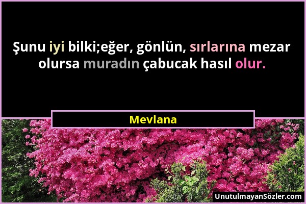 Mevlana - Şunu iyi bilki;eğer, gönlün, sırlarına mezar olursa muradın çabucak hasıl olur....
