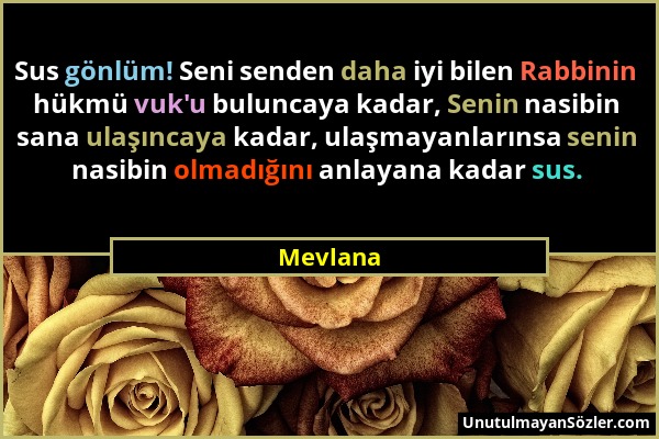 Mevlana - Sus gönlüm! Seni senden daha iyi bilen Rabbinin hükmü vuk'u buluncaya kadar, Senin nasibin sana ulaşıncaya kadar, ulaşmayanlarınsa senin nas...