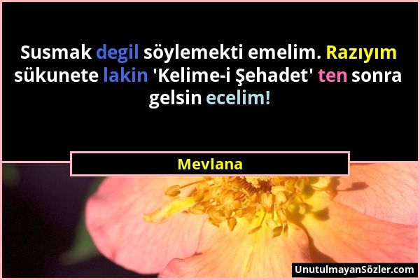 Mevlana - Susmak degil söylemekti emelim. Razıyım sükunete lakin 'Kelime-i Şehadet' ten sonra gelsin ecelim!...