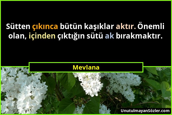 Mevlana - Sütten çıkınca bütün kaşıklar aktır. Önemli olan, içinden çıktığın sütü ak bırakmaktır....