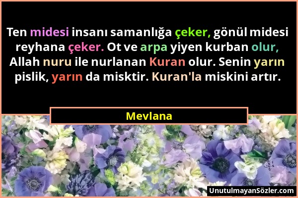 Mevlana - Ten midesi insanı samanlığa çeker, gönül midesi reyhana çeker. Ot ve arpa yiyen kurban olur, Allah nuru ile nurlanan Kuran olur. Senin yarın...