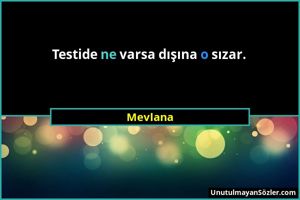 Mevlana - Testide ne varsa dışına o sızar....