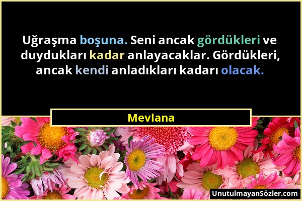 Mevlana - Uğraşma boşuna. Seni ancak gördükleri ve duydukları kadar anlayacaklar. Gördükleri, ancak kendi anladıkları kadarı olacak....