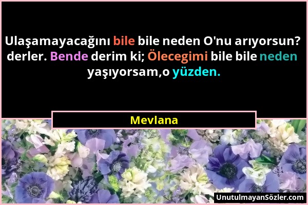 Mevlana - Ulaşamayacağını bile bile neden O'nu arıyorsun? derler. Bende derim ki; Ölecegimi bile bile neden yaşıyorsam,o yüzden....