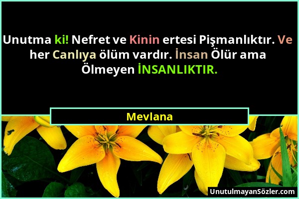 Mevlana - Unutma ki! Nefret ve Kinin ertesi Pişmanlıktır. Ve her Canlıya ölüm vardır. İnsan Ölür ama Ölmeyen İNSANLIKTIR....