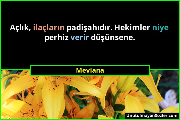 Mevlana - Açlık, ilaçların padişahıdır. Hekimler niye perhiz verir düşünsene....