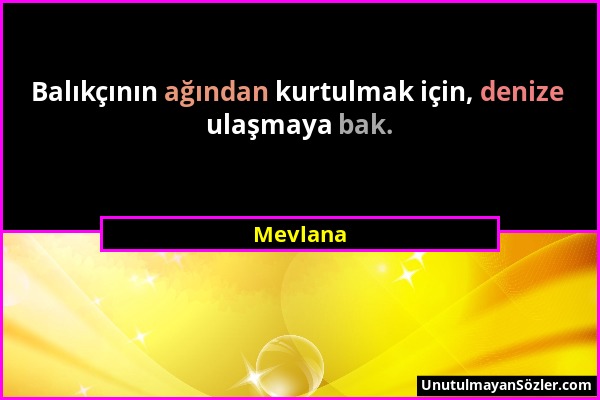 Mevlana - Balıkçının ağından kurtulmak için, denize ulaşmaya bak....