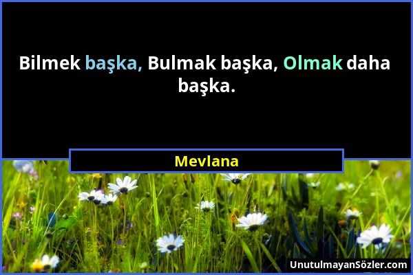 Mevlana - Bilmek başka, Bulmak başka, Olmak daha başka....