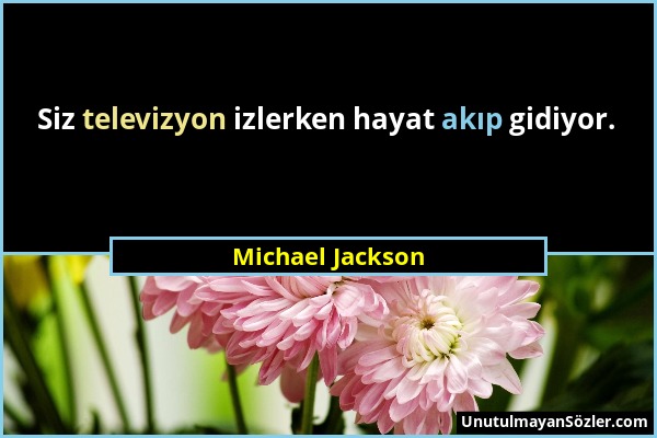 Michael Jackson - Siz televizyon izlerken hayat akıp gidiyor....