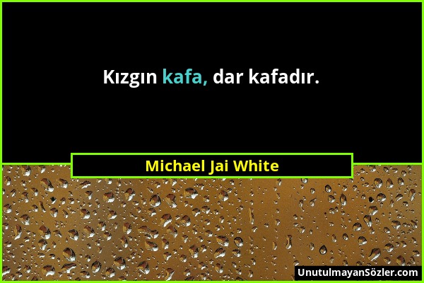 Michael Jai White - Kızgın kafa, dar kafadır....