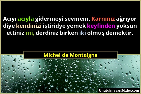 Michel de Montaigne - Acıyı acıyla gidermeyi sevmem. Karnınız ağrıyor diye kendinizi iştiridye yemek keyfinden yoksun ettiniz mi, derdiniz birken iki...