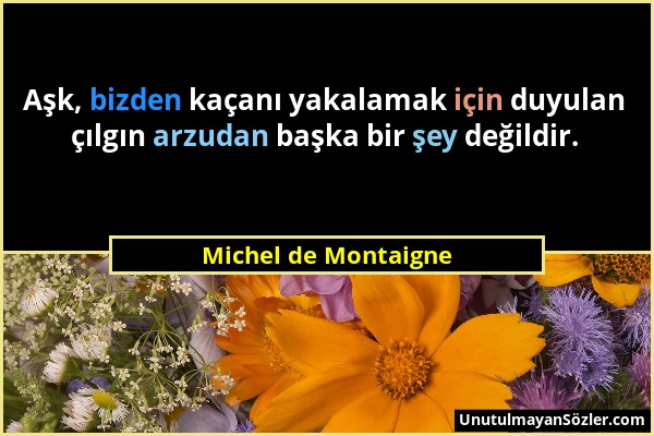 Michel de Montaigne - Aşk, bizden kaçanı yakalamak için duyulan çılgın arzudan başka bir şey değildir....