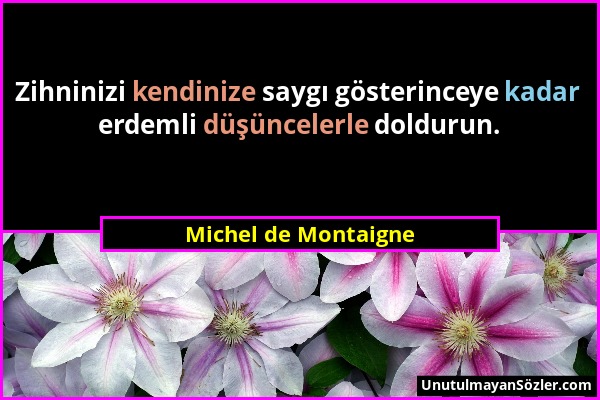 Michel de Montaigne - Zihninizi kendinize saygı gösterinceye kadar erdemli düşüncelerle doldurun....