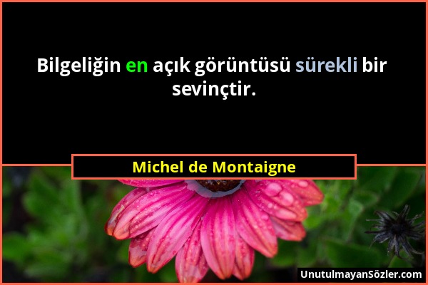 Michel de Montaigne - Bilgeliğin en açık görüntüsü sürekli bir sevinçtir....