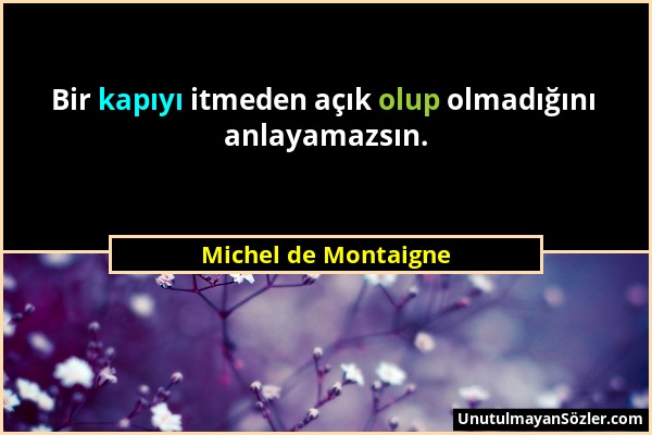 Michel de Montaigne - Bir kapıyı itmeden açık olup olmadığını anlayamazsın....