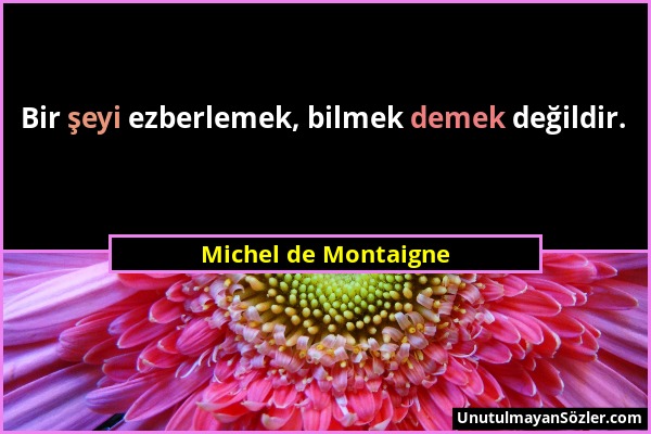 Michel de Montaigne - Bir şeyi ezberlemek, bilmek demek değildir....