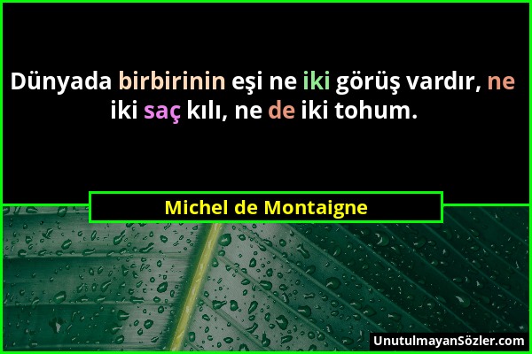 Michel de Montaigne - Dünyada birbirinin eşi ne iki görüş vardır, ne iki saç kılı, ne de iki tohum....