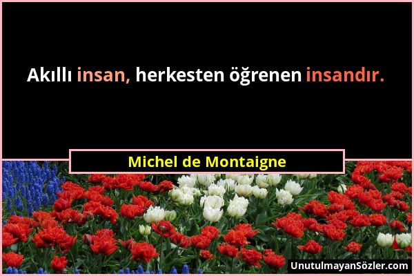 Michel de Montaigne - Akıllı insan, herkesten öğrenen insandır....