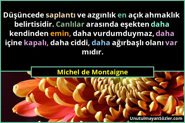 Michel de Montaigne - Düşüncede saplantı ve azgınlık en açık ahmaklık belirtisidir. Canlılar arasında eşekten daha kendinden emin, daha vurdumduymaz,...