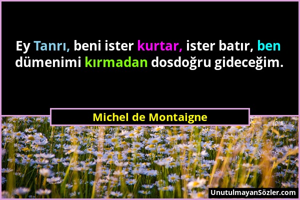 Michel de Montaigne - Ey Tanrı, beni ister kurtar, ister batır, ben dümenimi kırmadan dosdoğru gideceğim....