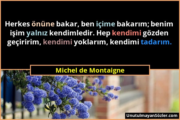 Michel de Montaigne - Herkes önüne bakar, ben içime bakarım; benim işim yalnız kendimledir. Hep kendimi gözden geçiririm, kendimi yoklarım, kendimi ta...