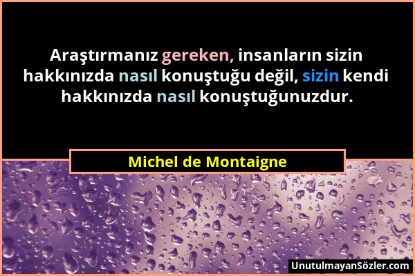 Michel de Montaigne - Araştırmanız gereken, insanların sizin hakkınızda nasıl konuştuğu değil, sizin kendi hakkınızda nasıl konuştuğunuzdur....