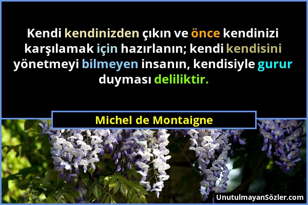 Michel de Montaigne - Kendi kendinizden çıkın ve önce kendinizi karşılamak için hazırlanın; kendi kendisini yönetmeyi bilmeyen insanın, kendisiyle gur...