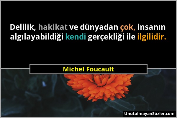 Michel Foucault - Delilik, hakikat ve dünyadan çok, insanın algılayabildiği kendi gerçekliği ile ilgilidir....