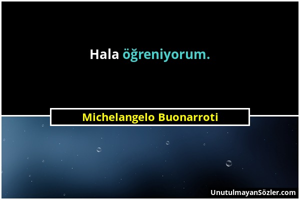 Michelangelo Buonarroti - Hala öğreniyorum....