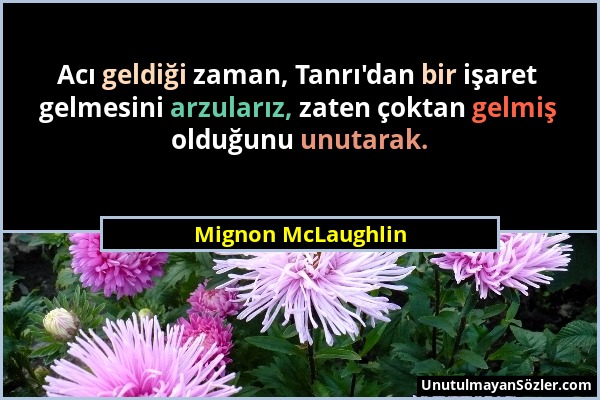 Mignon McLaughlin - Acı geldiği zaman, Tanrı'dan bir işaret gelmesini arzularız, zaten çoktan gelmiş olduğunu unutarak....