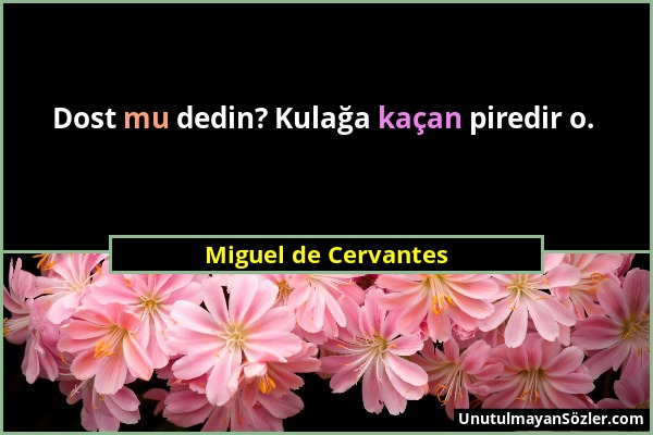 Miguel de Cervantes - Dost mu dedin? Kulağa kaçan piredir o....